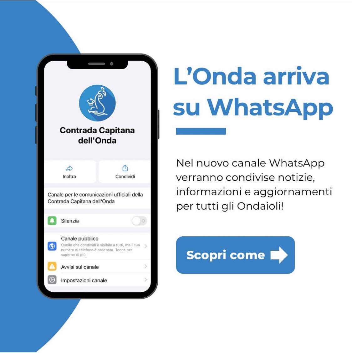 Siena: da alcuni giorni è attivo il canale Whatsapp della Contrada Capitana dell'Onda