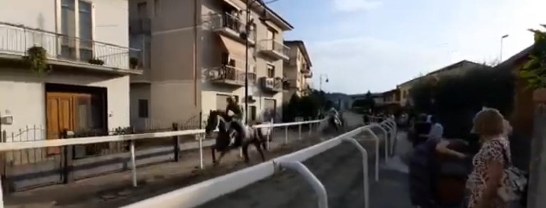Corse a Faella: vittoria per il cavallo Asia Grey