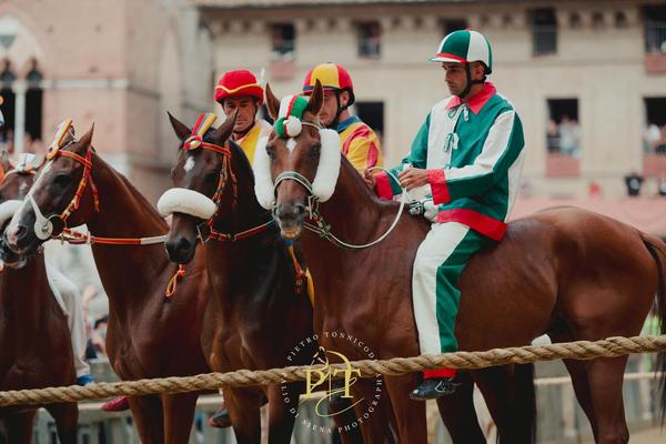 Palio di Siena: sarà un inverno di elezioni per 8 Contrade