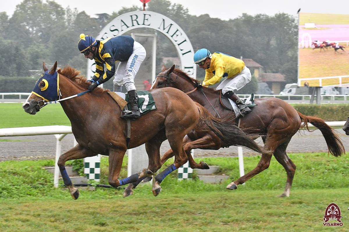 Corse in ippodromo: Chilivanesu e Fastidio da Clodia hanno vinto a Firenze 