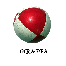 Giraffa: oggi il Giro di Onoranze 2018