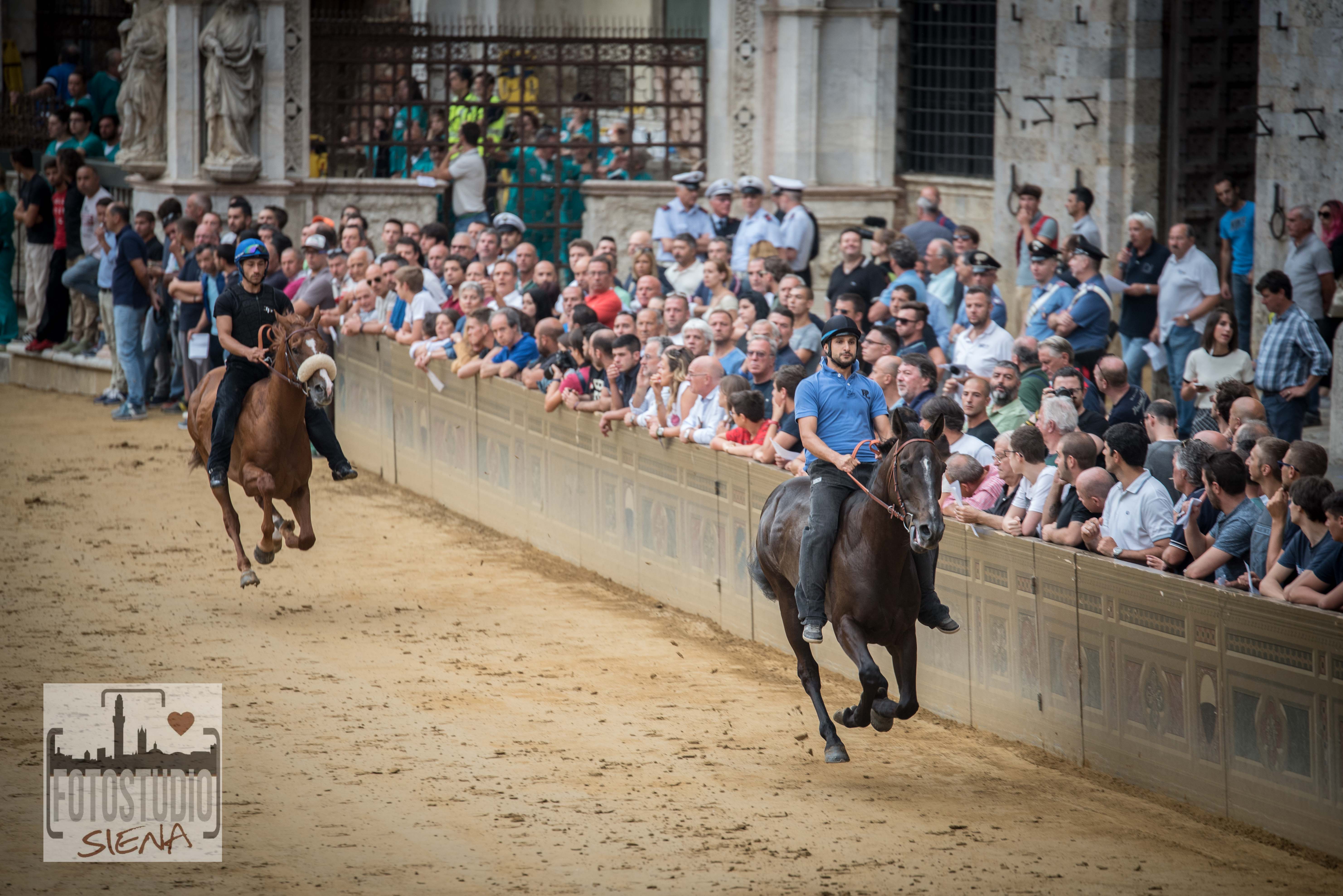 Sono 94 i cavalli ammessi alle Prove di Addestramento Mattutine