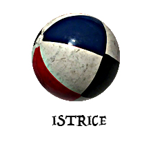 Istrice: rotto il vetro di una teca