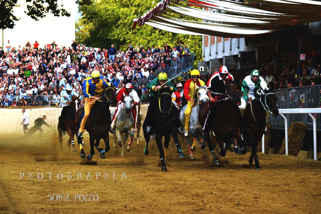 Asti: un primo quadro sulle monte del Palio 2019