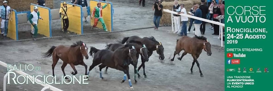 Ecco i cavalli che parteciperanno alle Corse a Vuoto 2019
