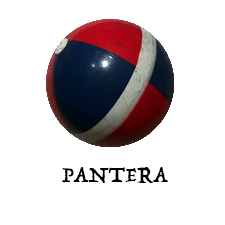 Pantera: il programma dei Festeggiamenti 2019