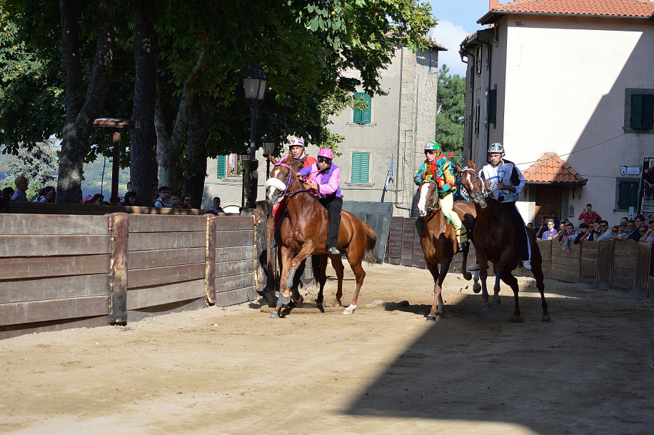 Palio di Castel del Piano 2019: ecco la lista degli iscritti alla Tratta