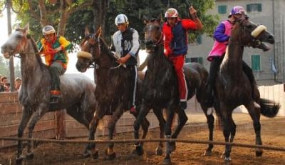 Palio di Castel del Piano 2019: le schede dei 14 cavalli iscritti alla Tratta