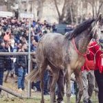 Fucecchio: la fotogallery delle corse di ieri 