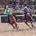 Fucecchio: la fotogallery delle corse di ieri 