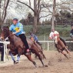 Fucecchio: la fotogallery delle corse di ieri 