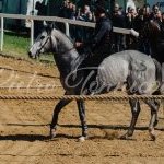 Mociano: la fotogallery di oggi