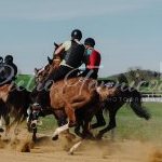 Mociano: la fotogallery di oggi