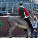 Ferrara: la fotogallery delle prove di ieri 