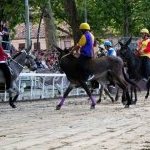 Ferrara: la fotogallery delle prove di ieri 