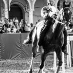 Ferrara: la fotogallery delle prove di ieri 