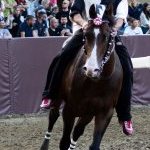 Ferrara: la fotogallery delle prove di ieri 