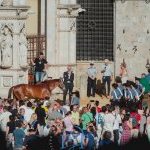 Palio 4 luglio 2024: la fotogallery della corsa