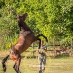 Palio 4 luglio 2024: la fotogallery di Massimiliano Bruttini