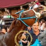 Palio 4 luglio 2024: la fotogallery di Massimiliano Bruttini