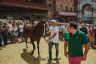 Palio 16 agosto 2019: la fotogallery dell'Assegnazione dei Cavalli