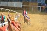 Palio di Asti 2019: la fotogallery delle prove