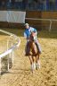 Palio di Asti 2019: la fotogallery delle prove