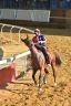 Palio di Asti 2019: la fotogallery delle prove