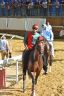 Palio di Asti 2019: la fotogallery delle prove