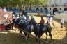 Palio di Asti 2019: la fotogallery delle prove