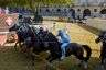 Palio di Asti 2019: la fotogallery delle prove