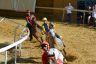 Palio di Asti 2019: la fotogallery delle prove